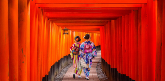 Cẩm nang tham quan đền thờ Fushimi Inari Taisha khi du lịch Nhật Bản