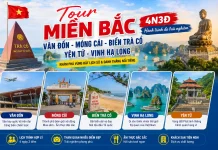 Tour Miền Bắc 4N3Đ Vân Đồn – Móng Cái – Trà Cổ – Yên Tử Hấp Dẫn